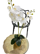 Flor decoración blanca