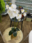 Gray helmet for bikers